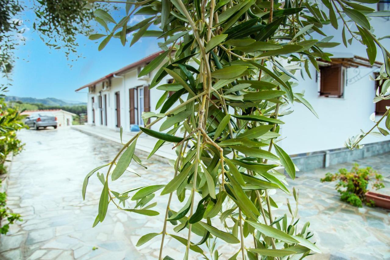 Eleonas Holiday Home Apartment Agios Stefanos Avliotes  Eksteriør billede